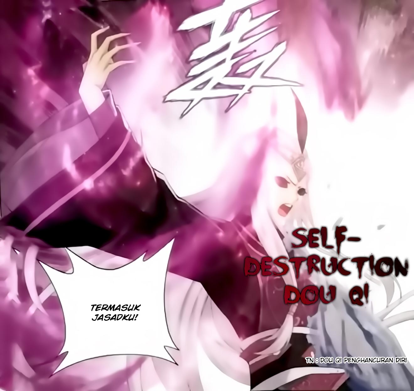 Battle Through the Heavens chapter 250 halaman 12