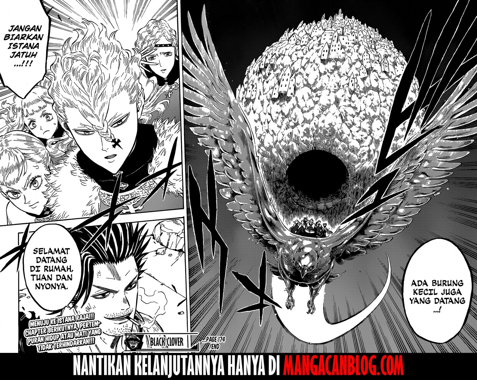 Black Clover chapter 174 halaman 16