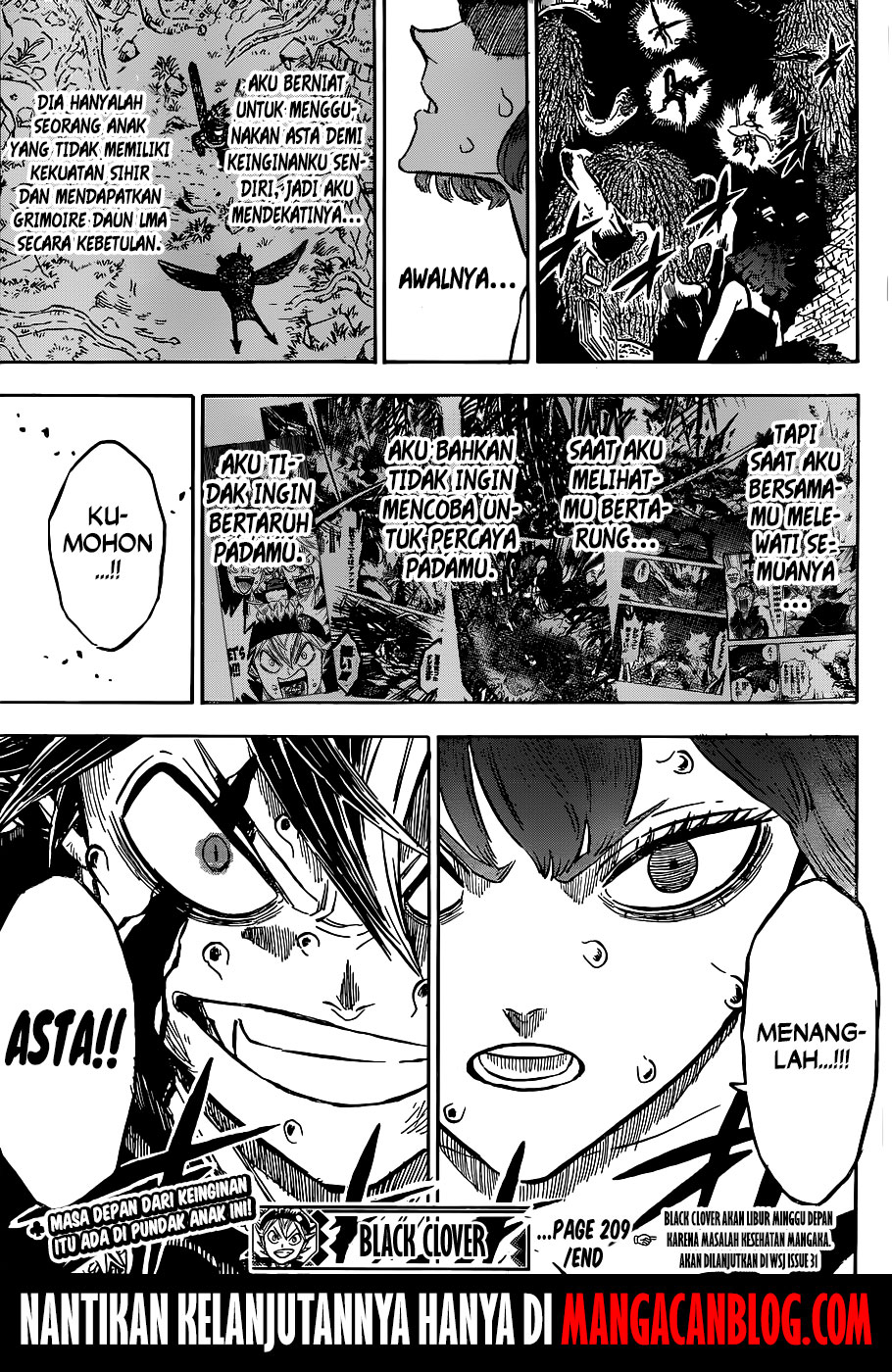 Black Clover chapter 209 halaman 12