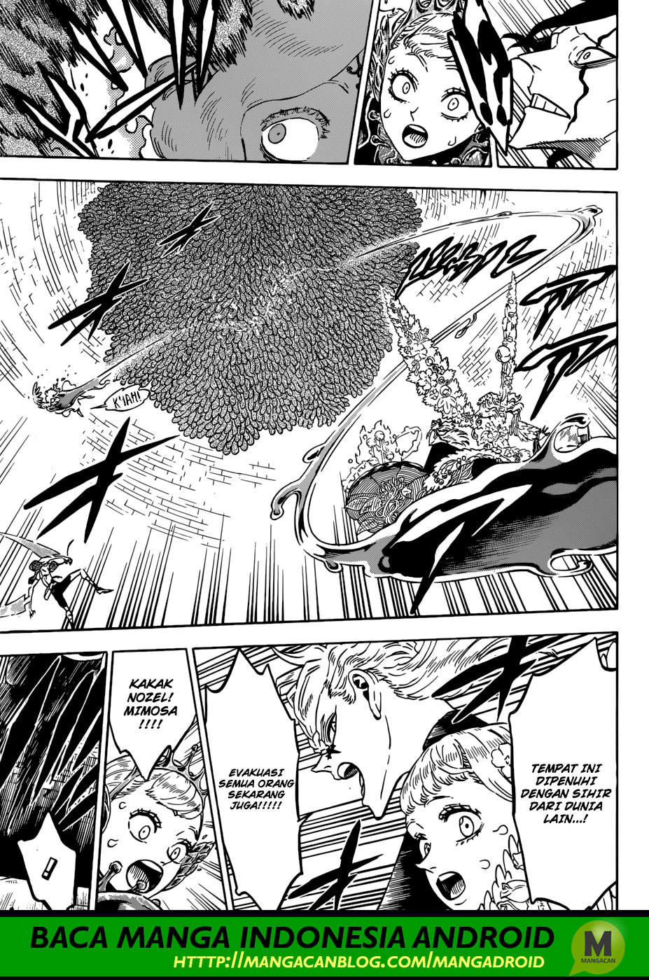 Black Clover chapter 210 halaman 6
