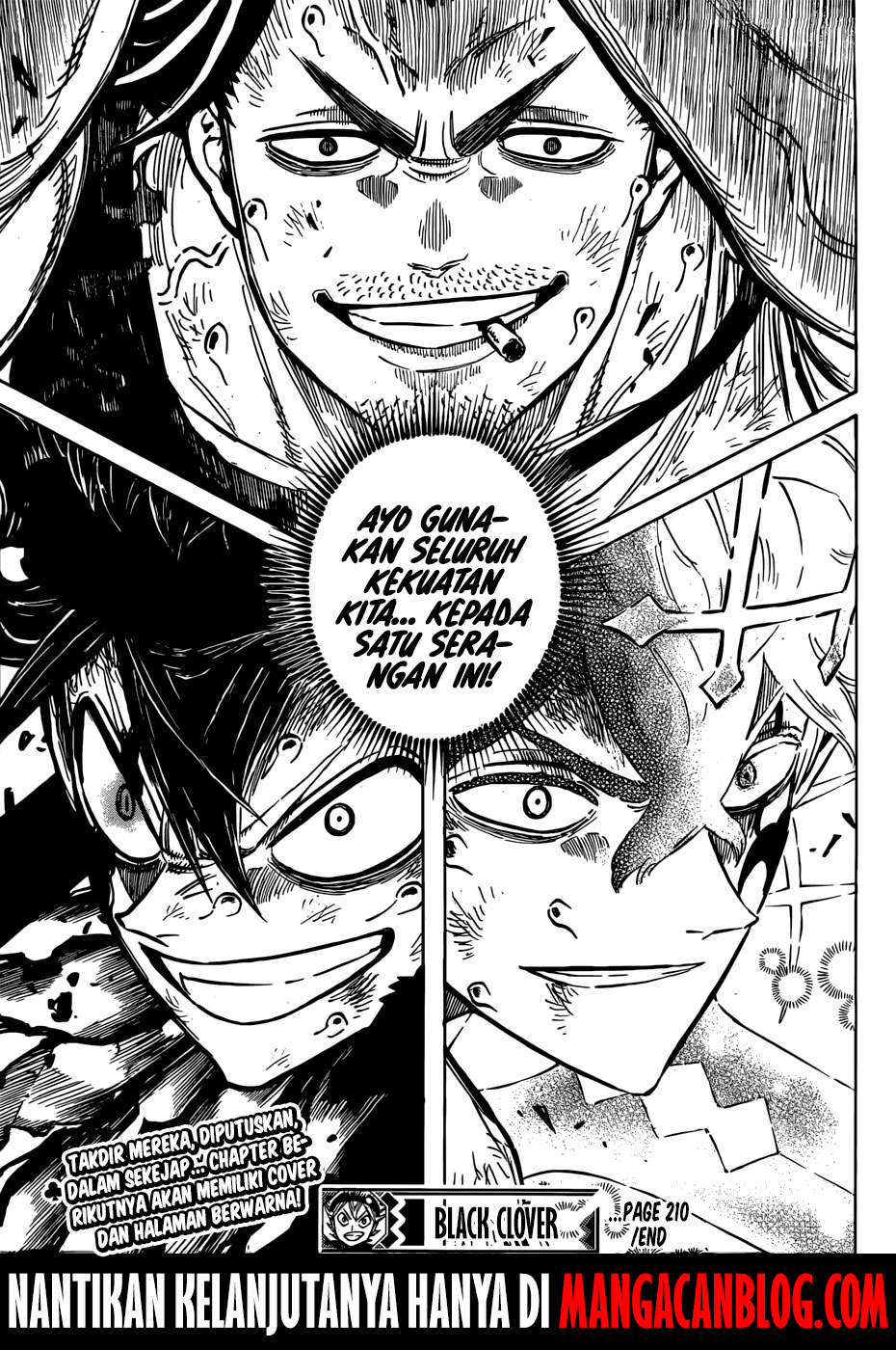 Black Clover chapter 210 halaman 16