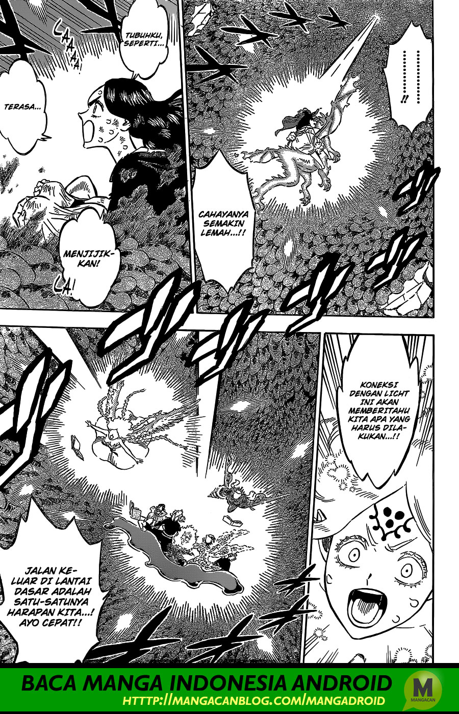 Black Clover chapter 212 halaman 10