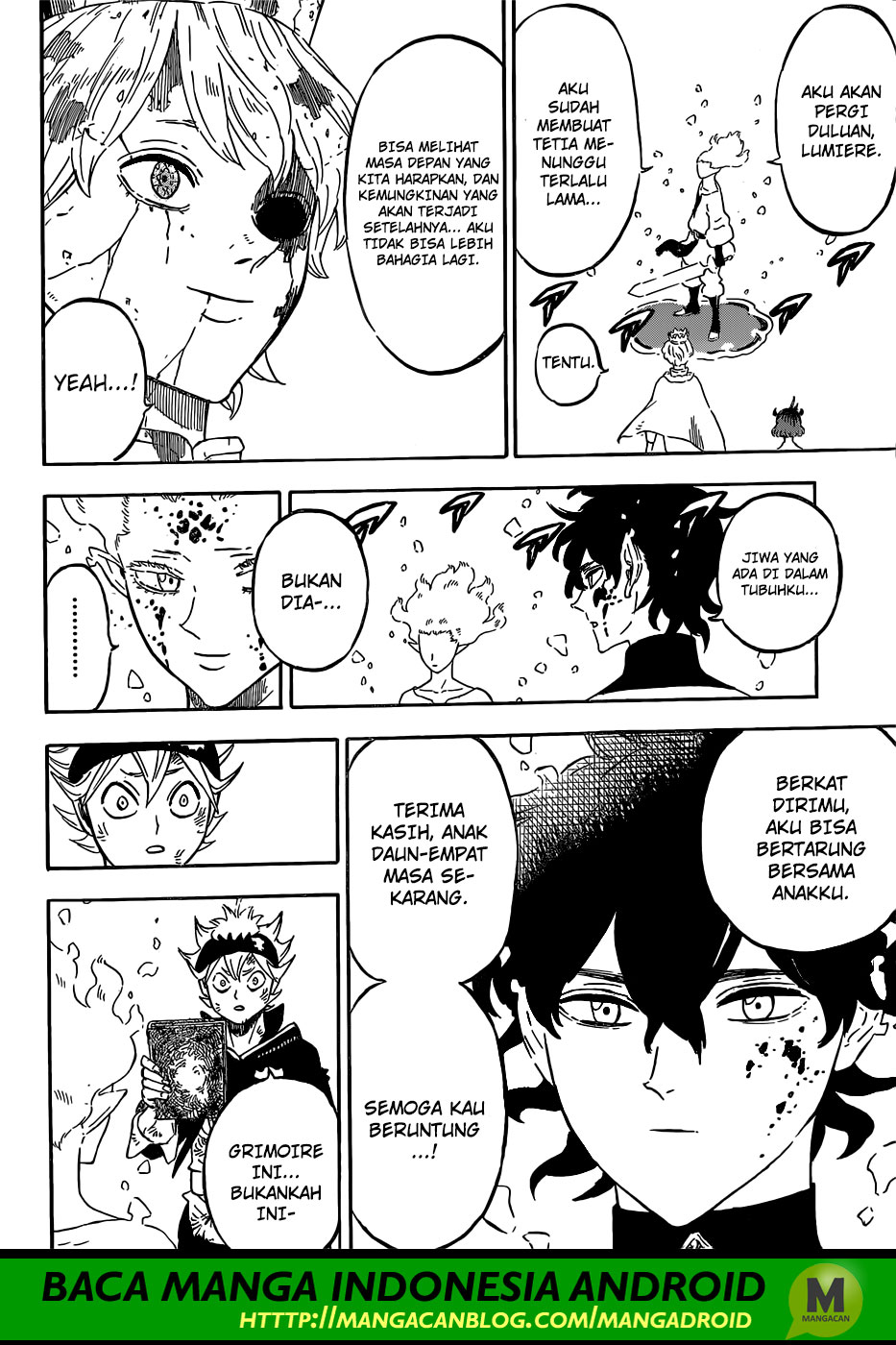 Black Clover chapter 213 halaman 14