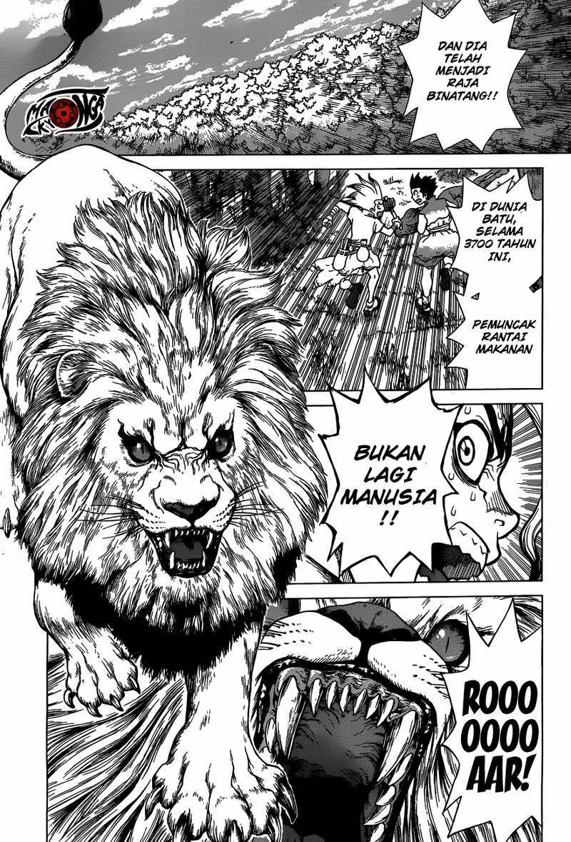 Dr. Stone chapter 3 halaman 8