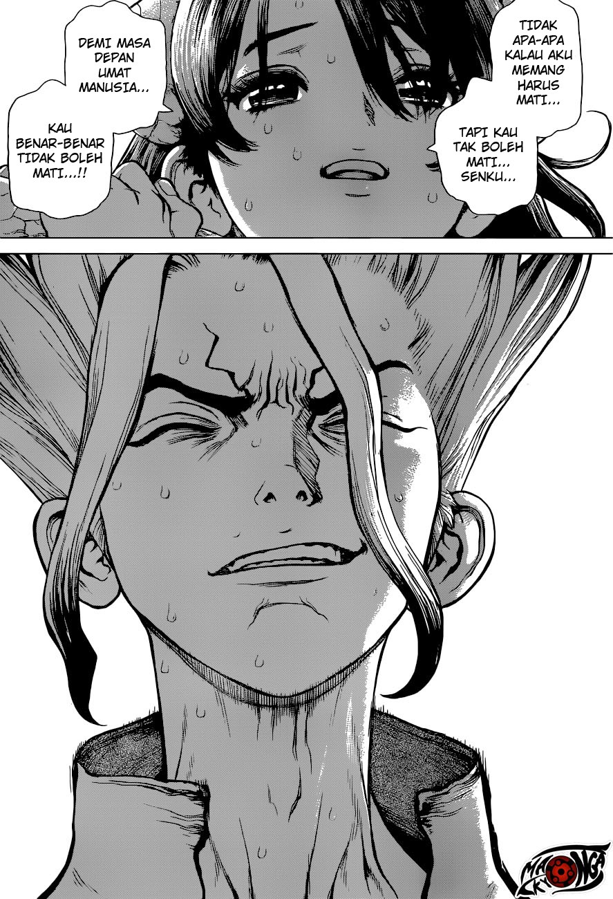 Dr. Stone chapter 9 halaman 12
