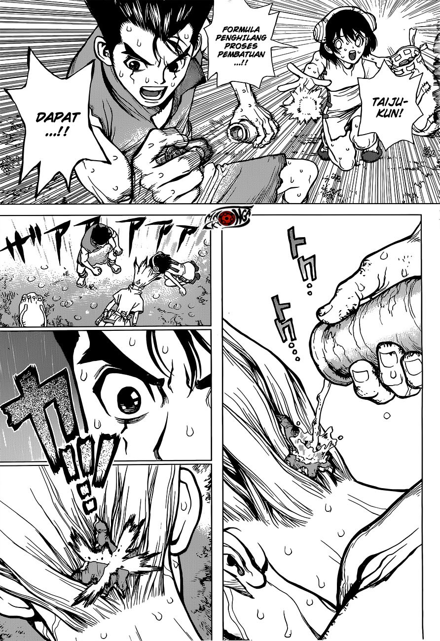 Dr. Stone chapter 12 halaman 14
