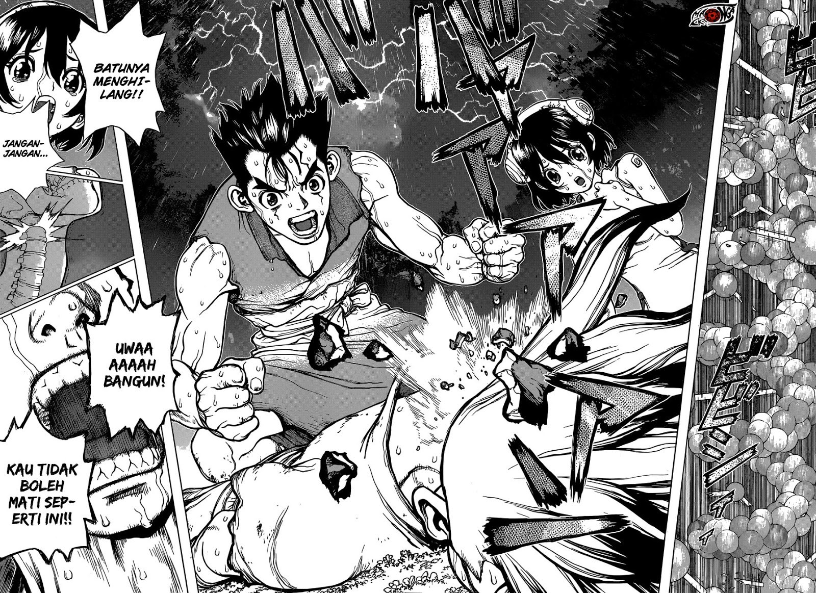 Dr. Stone chapter 12 halaman 15