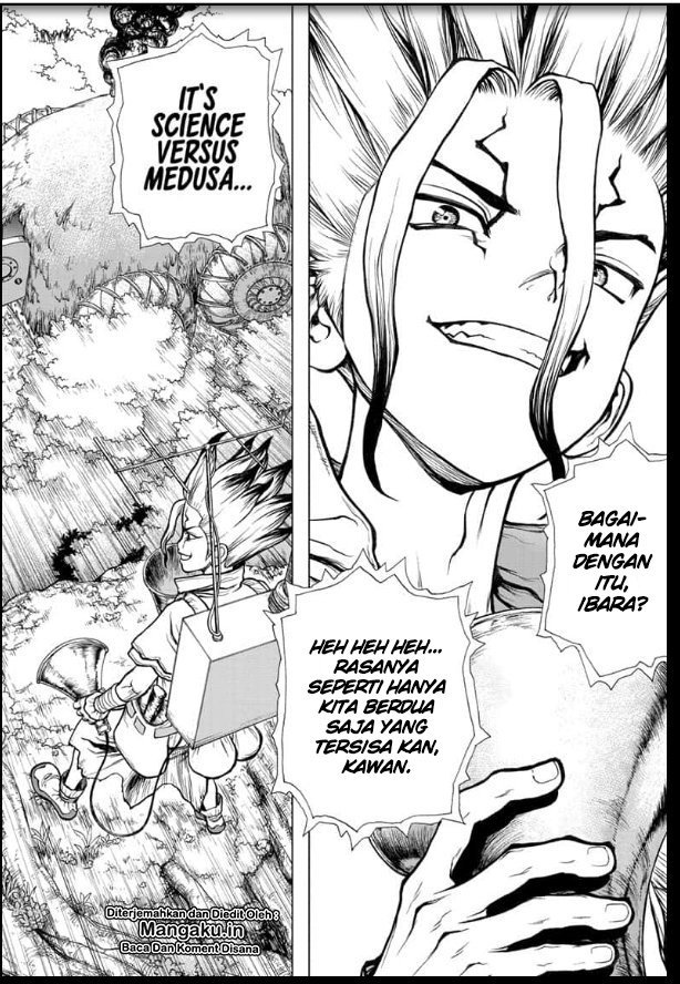 Dr. Stone chapter 134 halaman 19