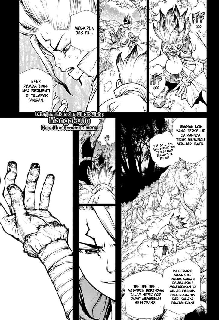 Dr. Stone chapter 135 halaman 12