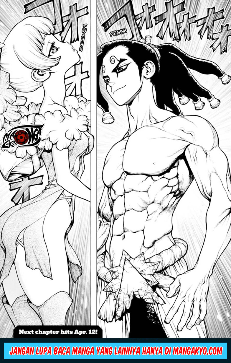 Dr. Stone chapter 146 halaman 17