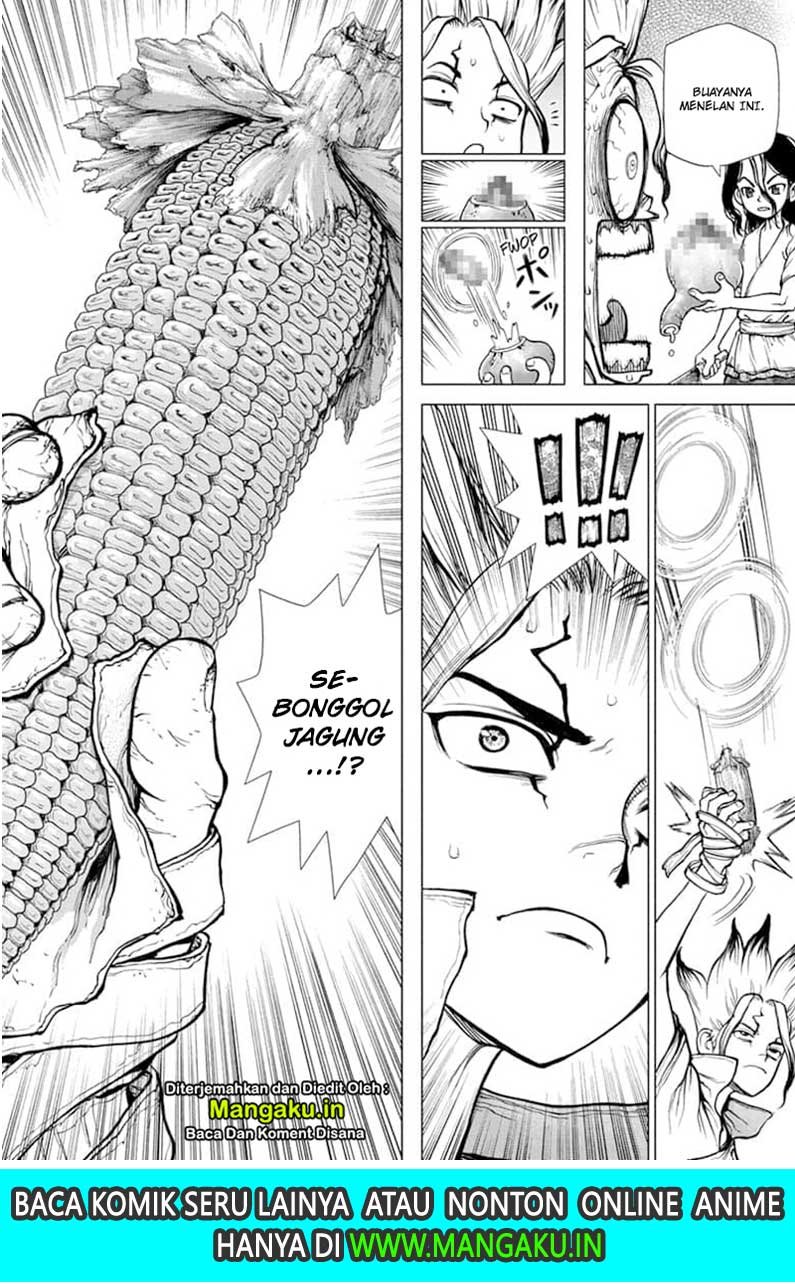 Dr. Stone chapter 148 halaman 19