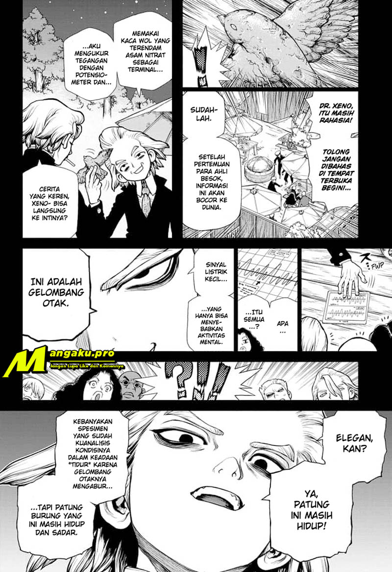 Dr. Stone chapter 157 halaman 8