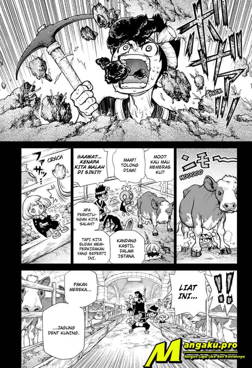 Dr. Stone chapter 167 halaman 4