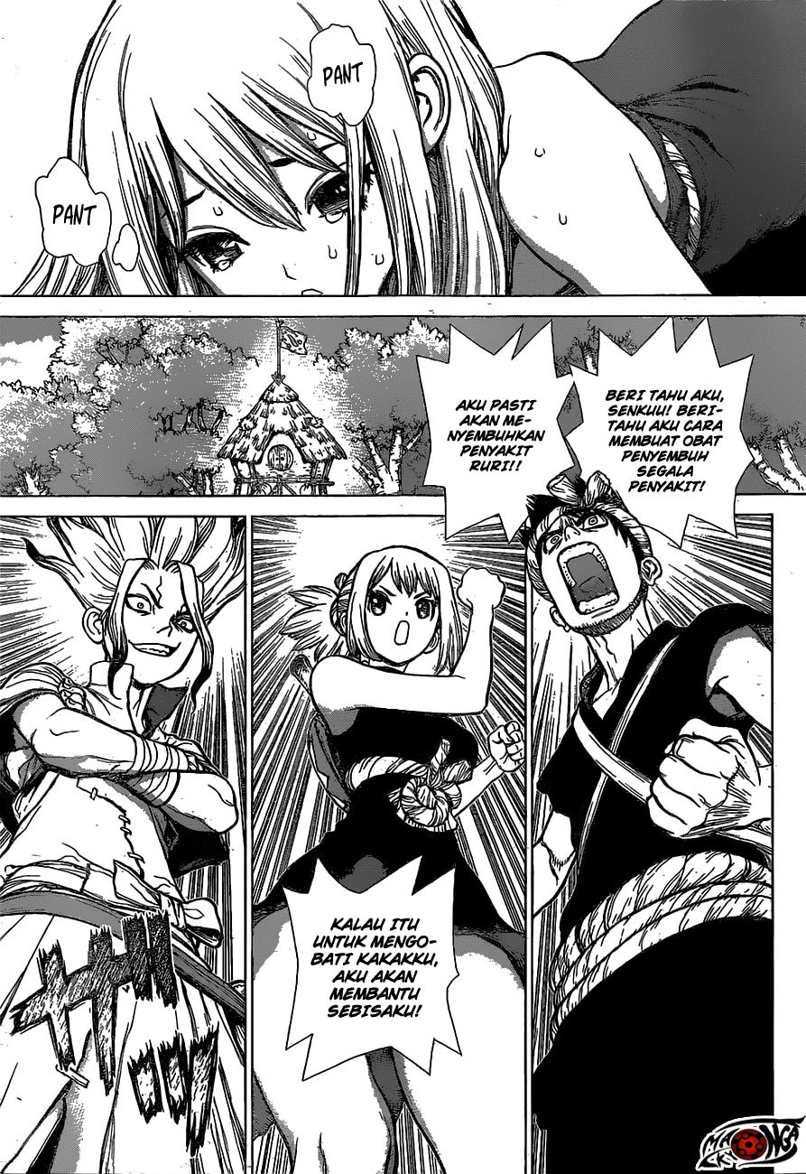 Dr. Stone chapter 20 halaman 4