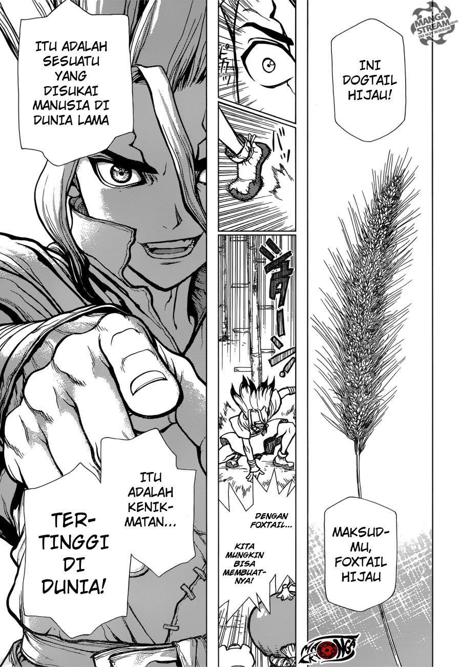 Dr. Stone chapter 22 halaman 9