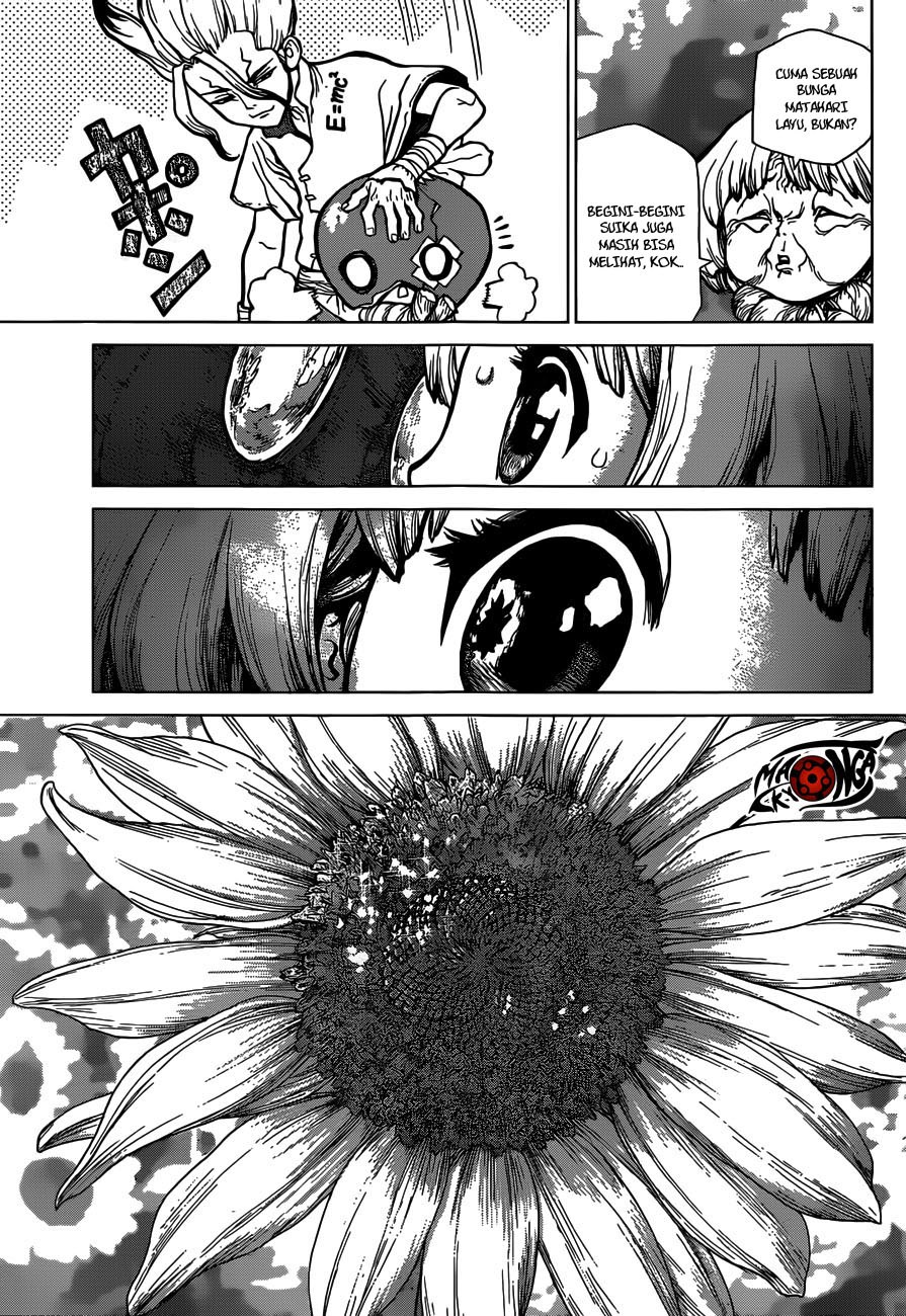 Dr. Stone chapter 28 halaman 13
