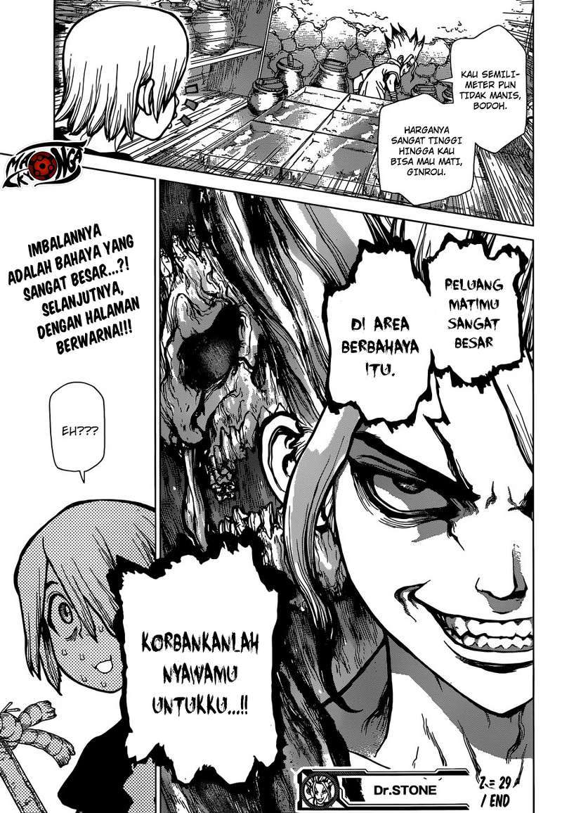 Dr. Stone chapter 29 halaman 19