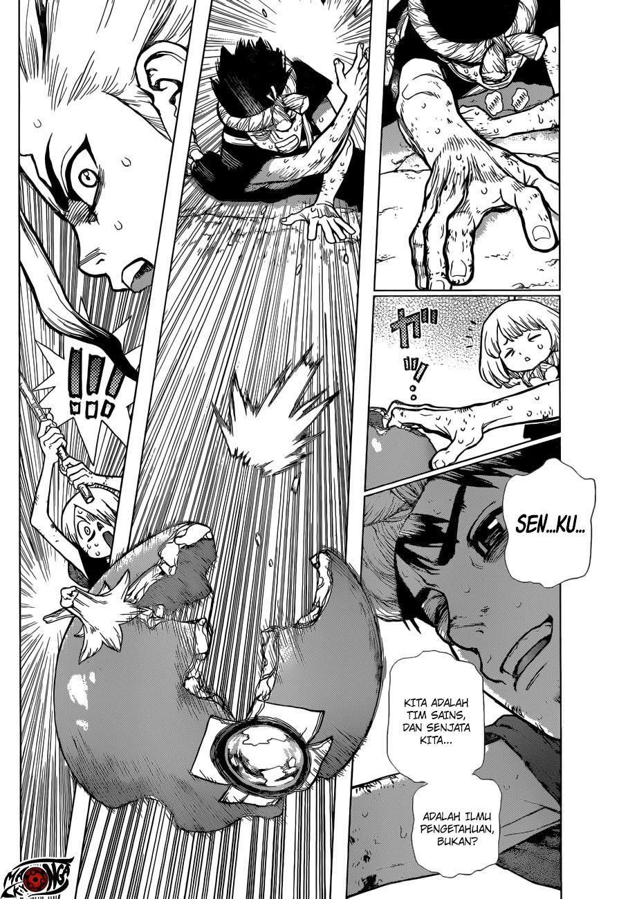 Dr. Stone chapter 39 halaman 12