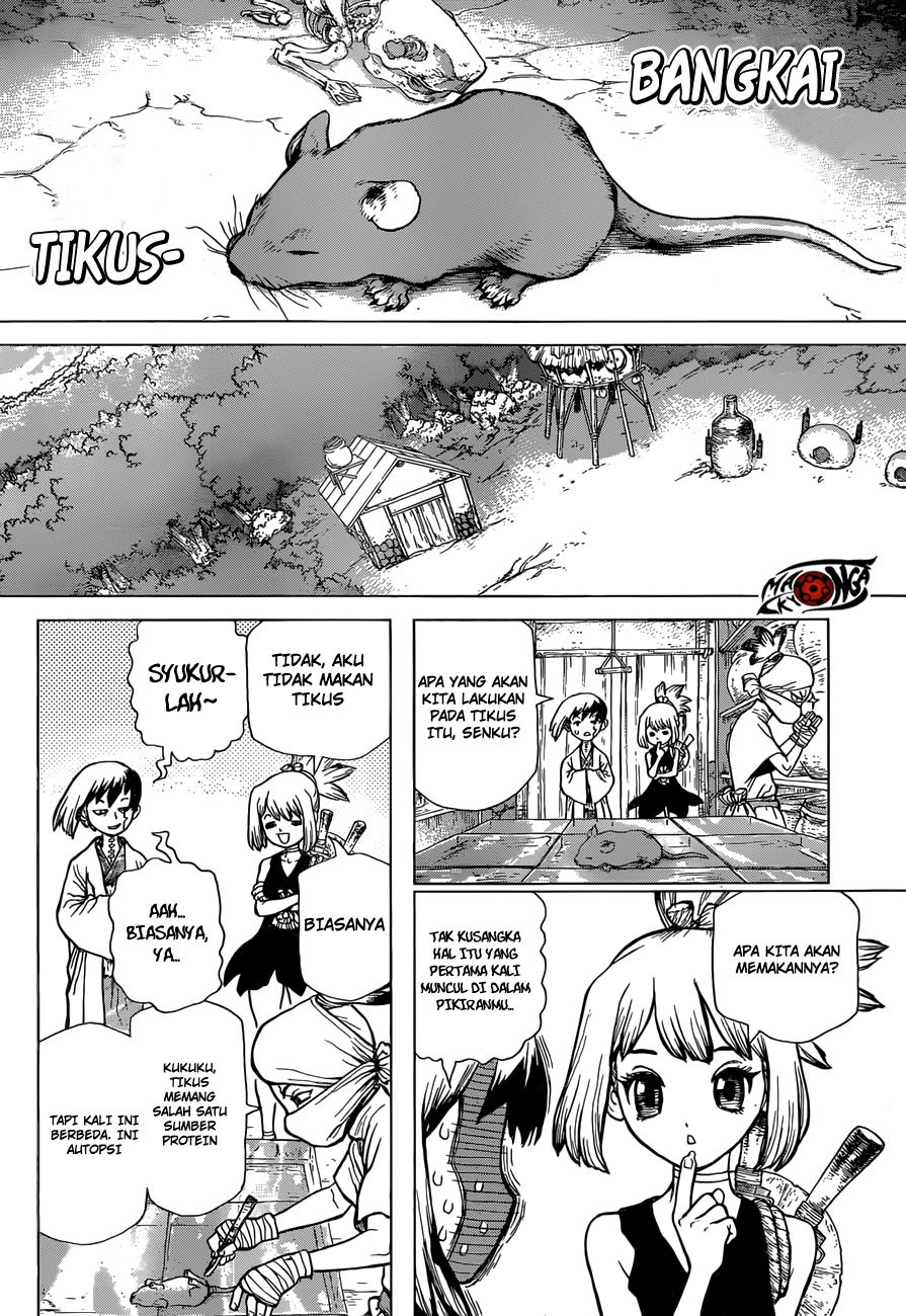 Dr. Stone chapter 41 halaman 4