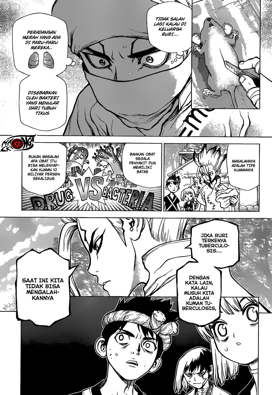 Dr. Stone chapter 41 halaman 5