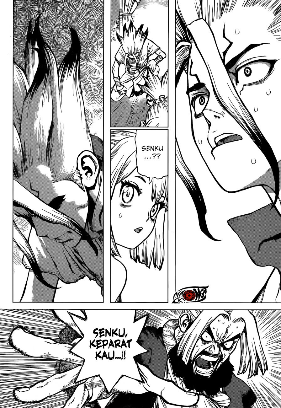 Dr. Stone chapter 41 halaman 8