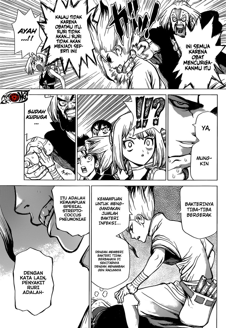 Dr. Stone chapter 41 halaman 10