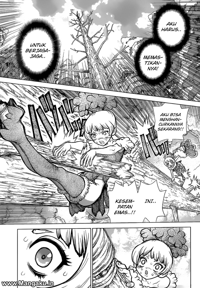 Dr. Stone chapter 63 halaman 16