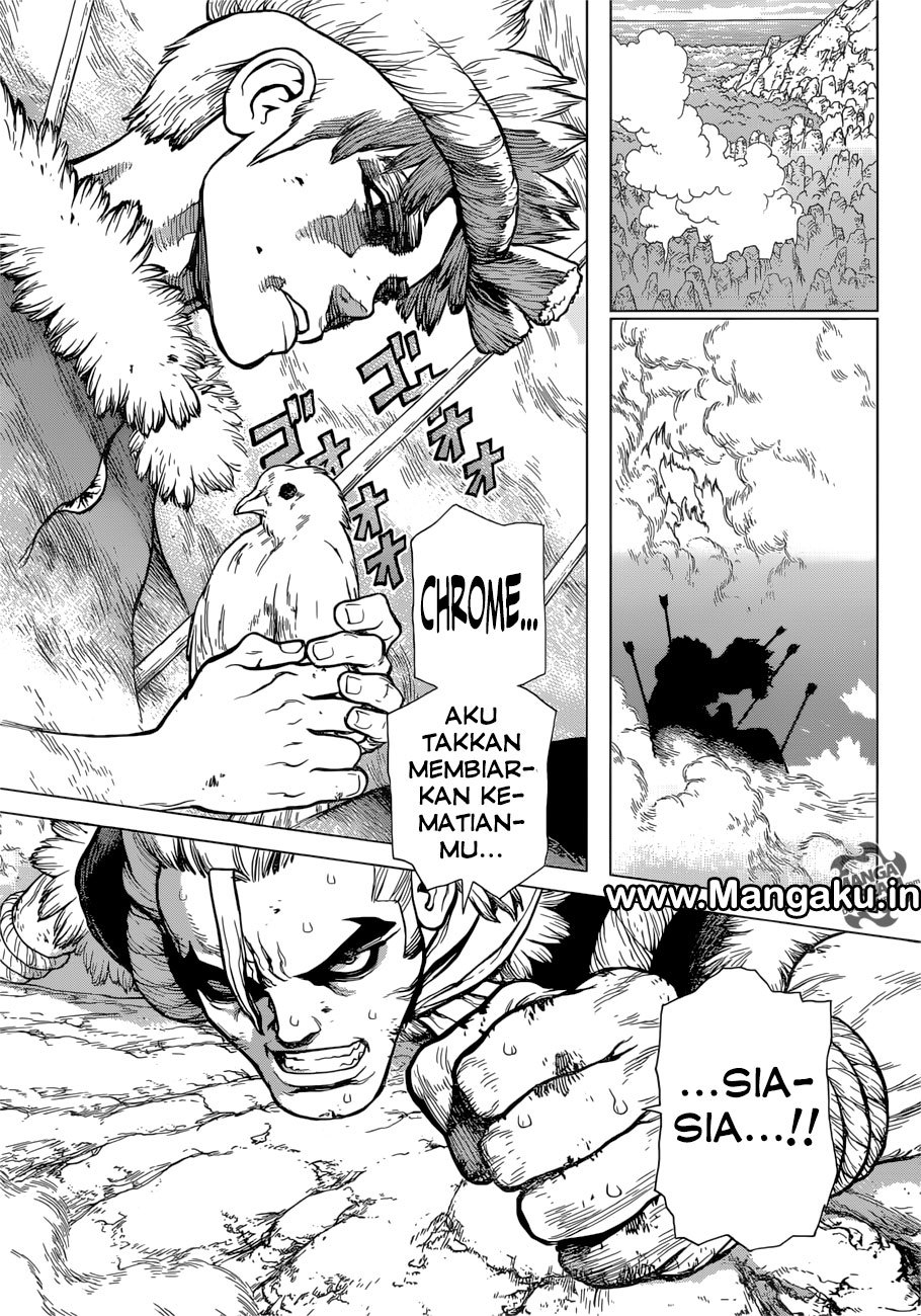Dr. Stone chapter 67 halaman 8
