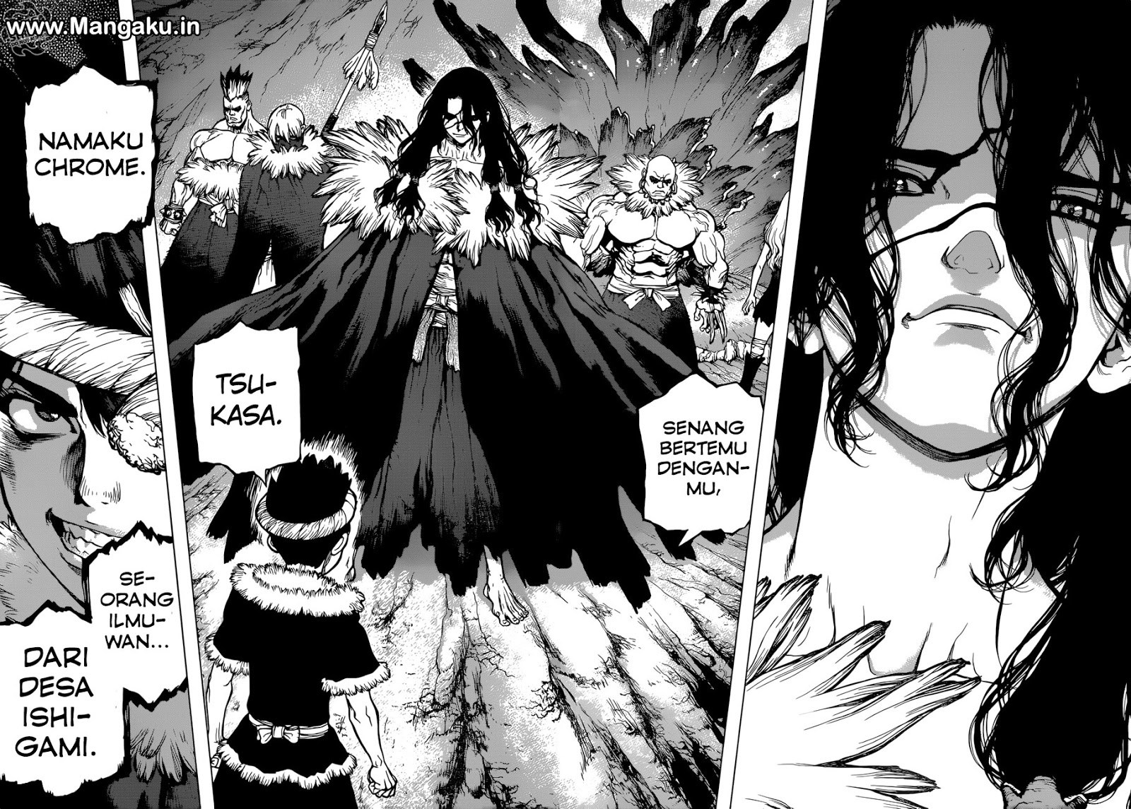 Dr. Stone chapter 67 halaman 13
