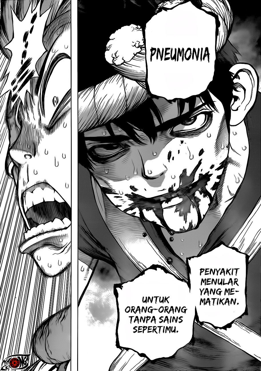 Dr. Stone chapter 72 halaman 11