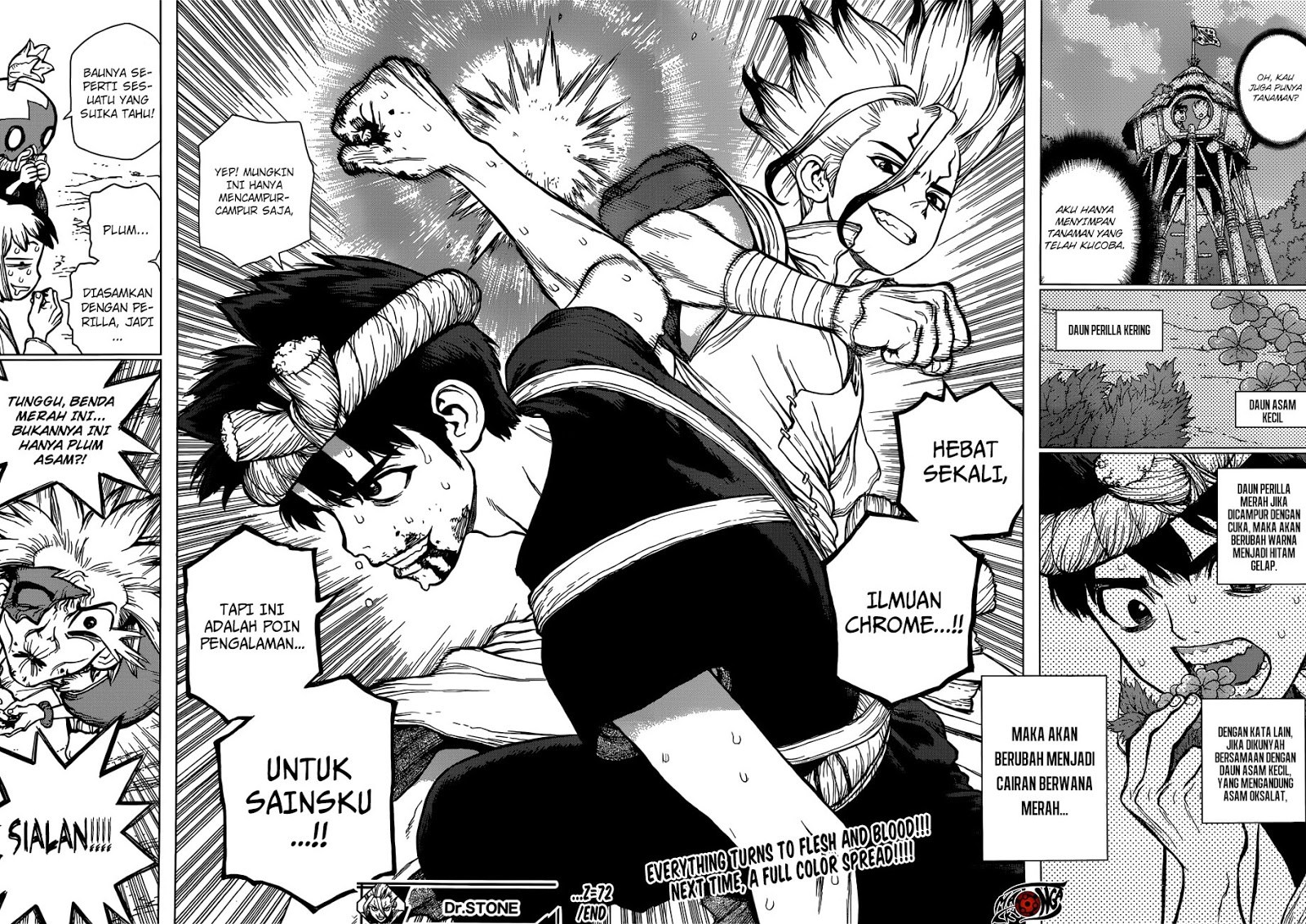 Dr. Stone chapter 72 halaman 16