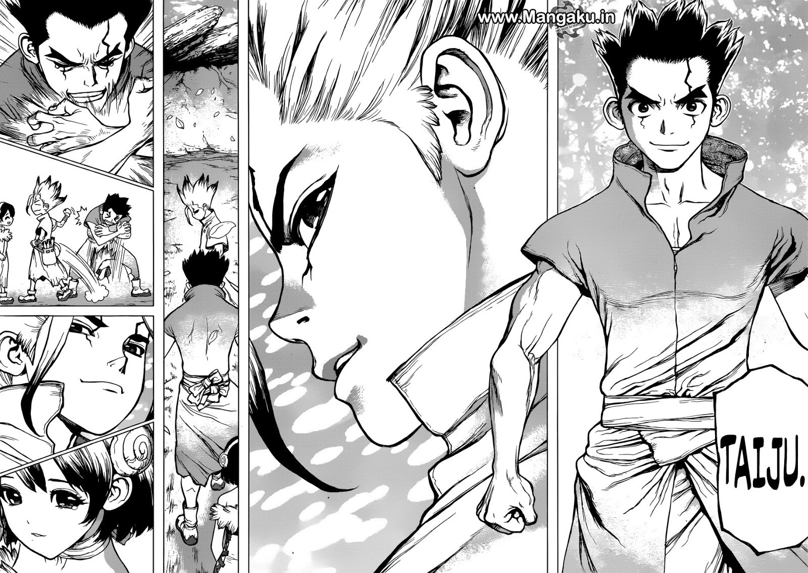 Dr. Stone chapter 74 halaman 13
