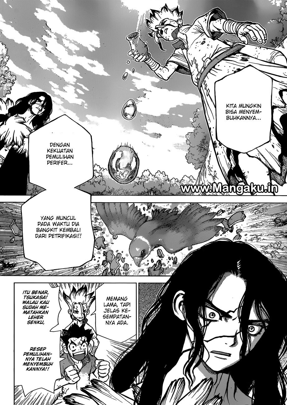 Dr. Stone chapter 78 halaman 12