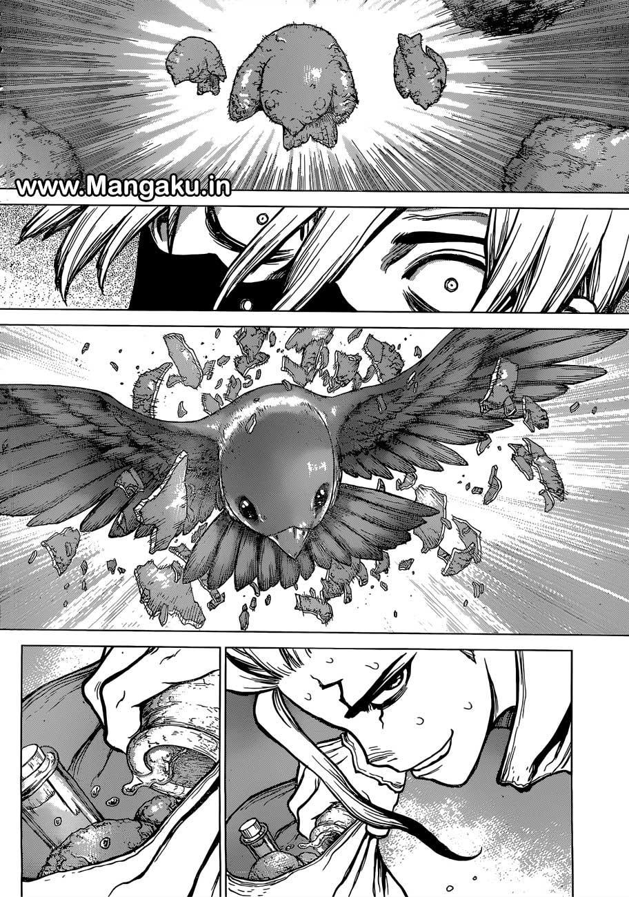 Dr. Stone chapter 80 halaman 15