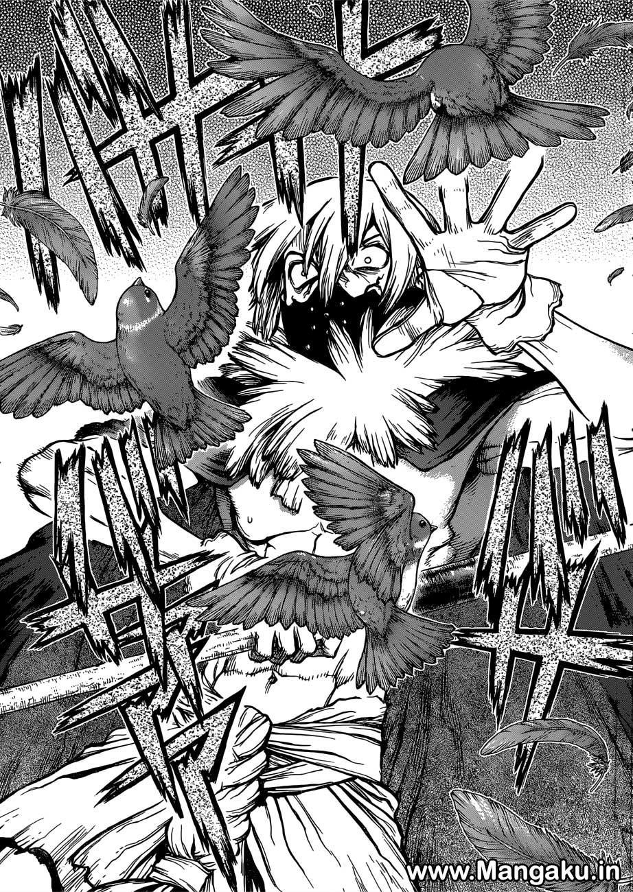 Dr. Stone chapter 80 halaman 16