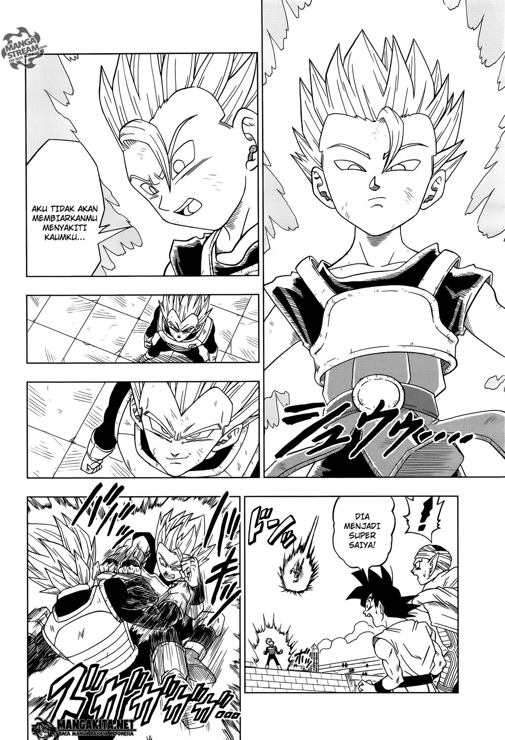 Dragon Ball Super chapter 12 halaman 13