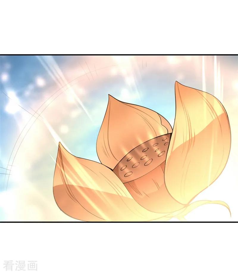 Peerless Soul (Peerless Battle Spirit) chapter 71 halaman 4