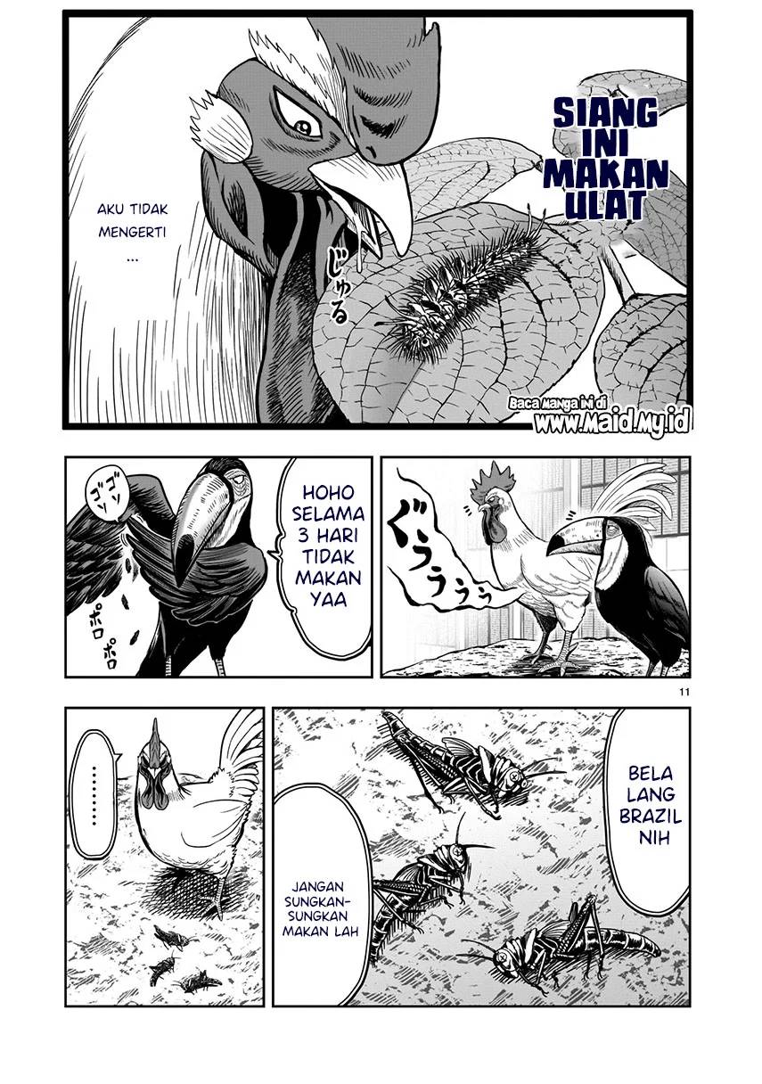 Rooster Fighter chapter 3 halaman 12