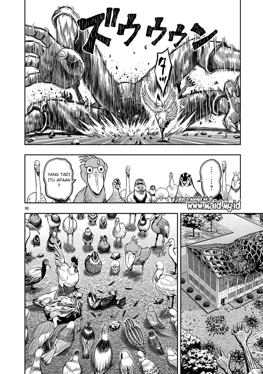 Rooster Fighter chapter 3 halaman 30