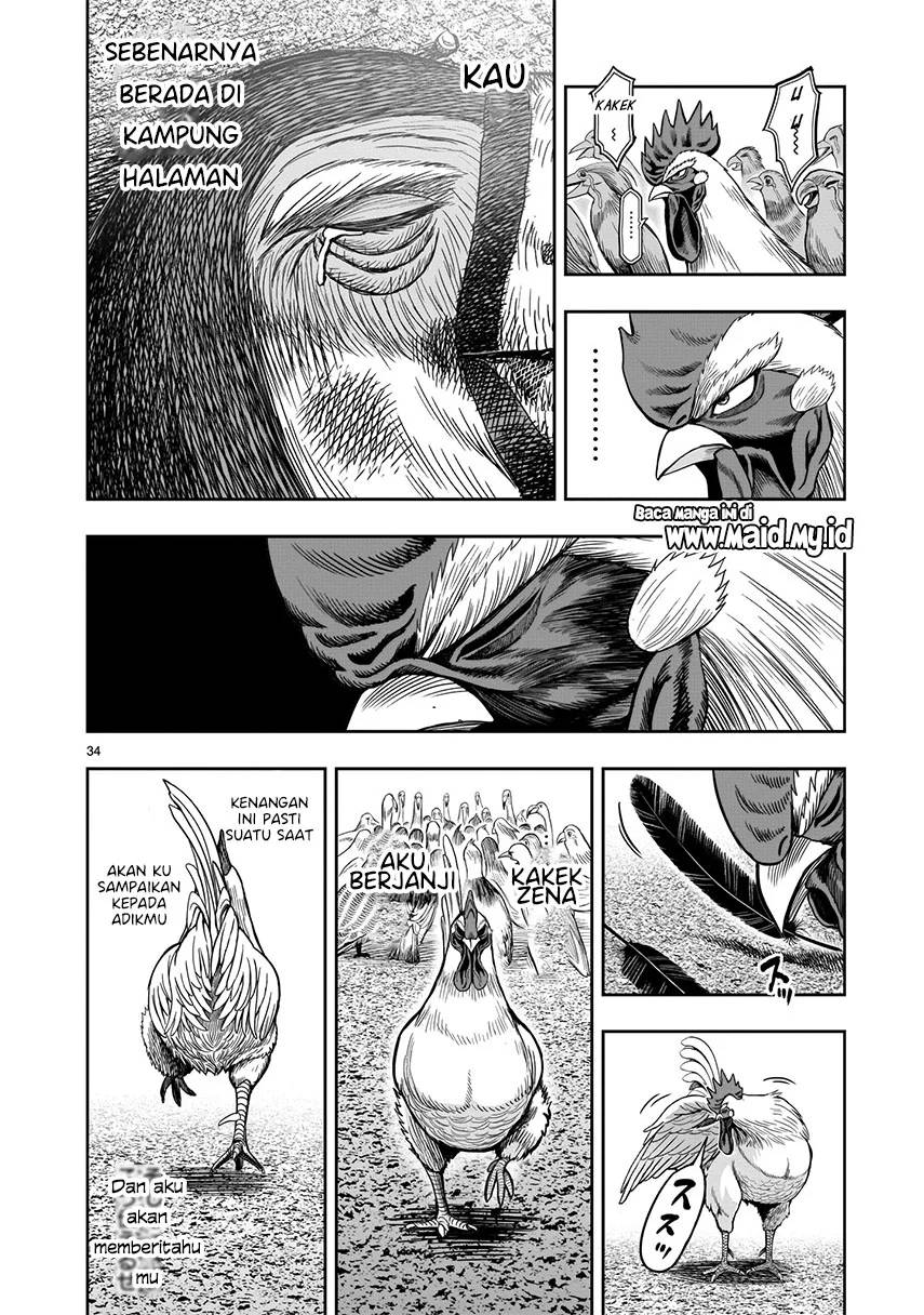 Rooster Fighter chapter 3 halaman 34