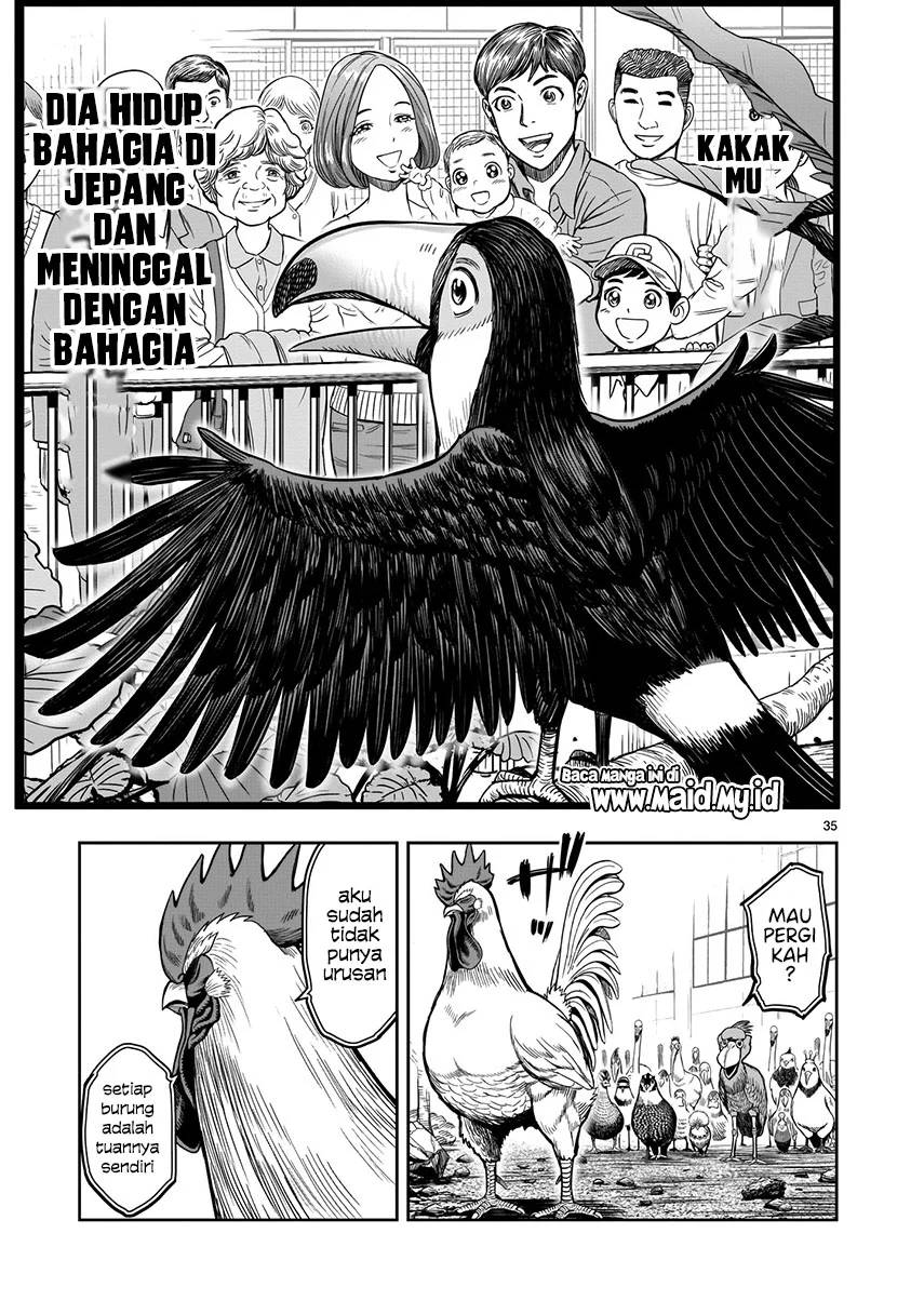 Rooster Fighter chapter 3 halaman 35