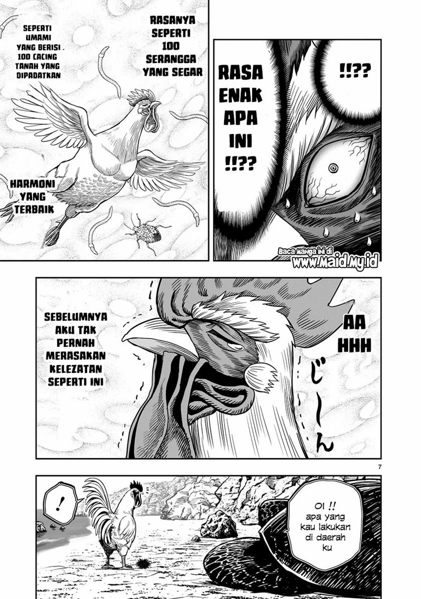 Rooster Fighter chapter 4 halaman 9