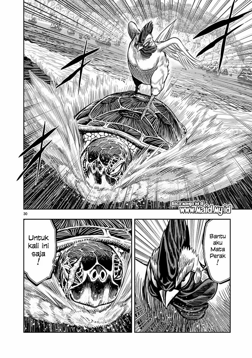 Rooster Fighter chapter 4 halaman 31